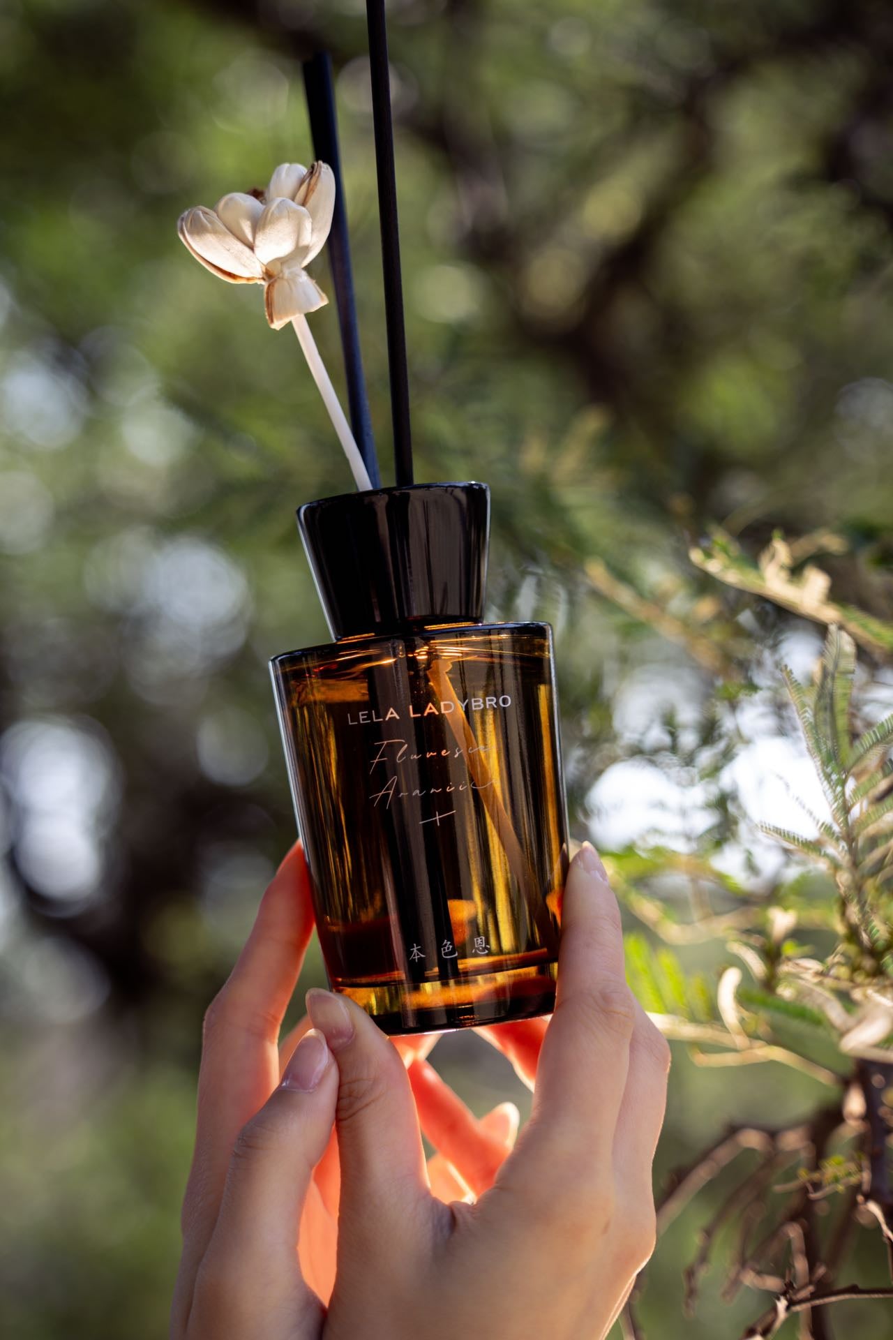 Cedar Aroma Reed Diffuser 160mL